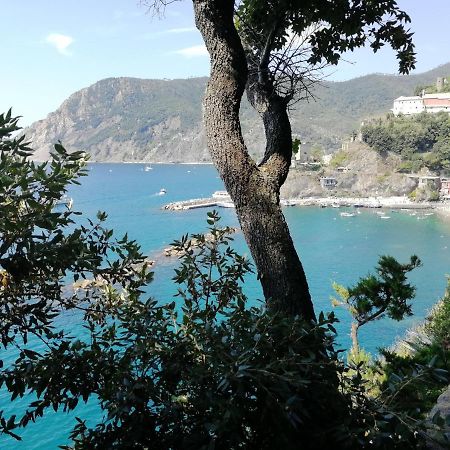 La Terrazza Sul Mare ☆☆☆☆☆ Monterosso Daire Monterosso al Mare Dış mekan fotoğraf