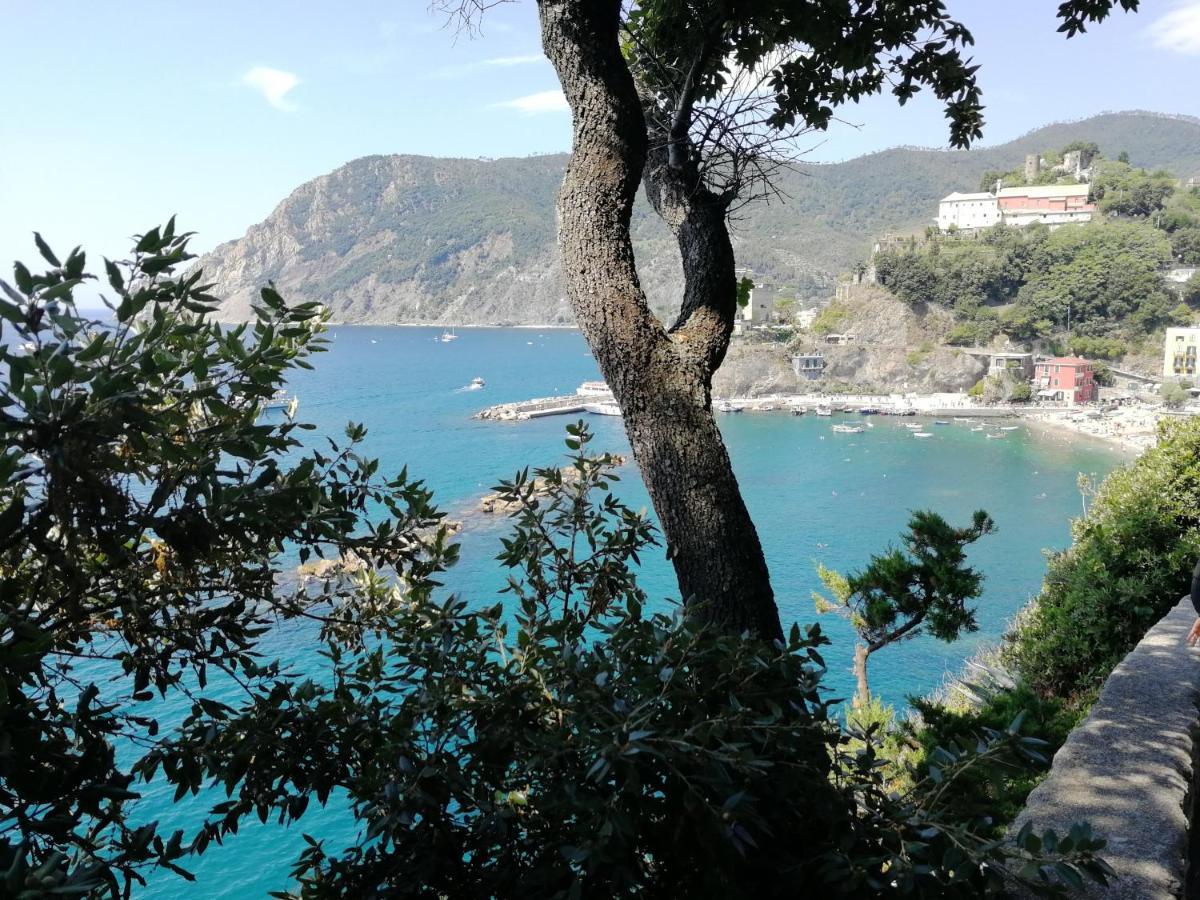 La Terrazza Sul Mare ☆☆☆☆☆ Monterosso Daire Monterosso al Mare Dış mekan fotoğraf